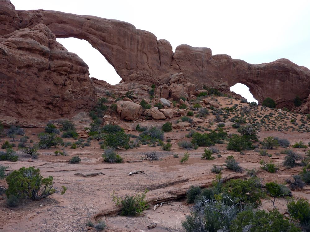 Arches Windows Arches (16).JPG